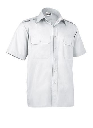 11342 SUMMER II_product_product_product_product_product_product_product_product_product_product_product_product_product_produc